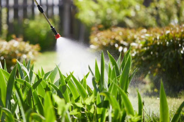 Tamper-Resistant Bait Stations for Rodents in Marthasville