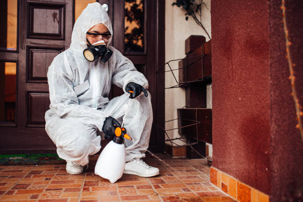 Attic and Crawl Space Rodent Treatment in Marthasville