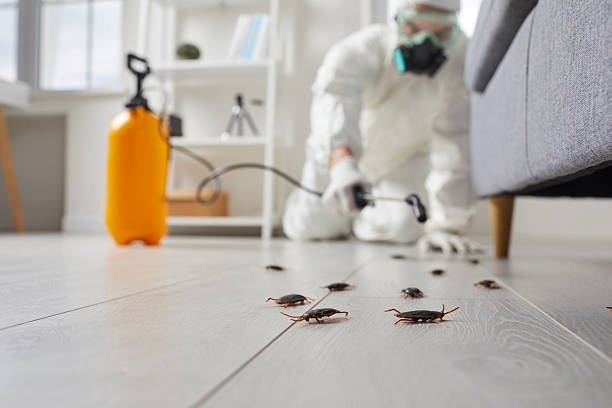 Commercial Rodent Management in Marthasville